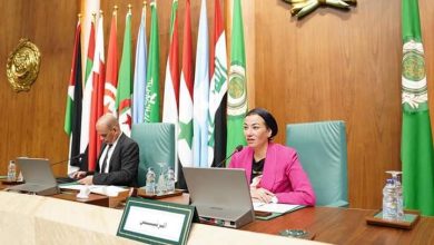 ياسمين فؤاد تدعو الدول العربية للحفاظ على حقوق الأجيال في البيئة والتنمية